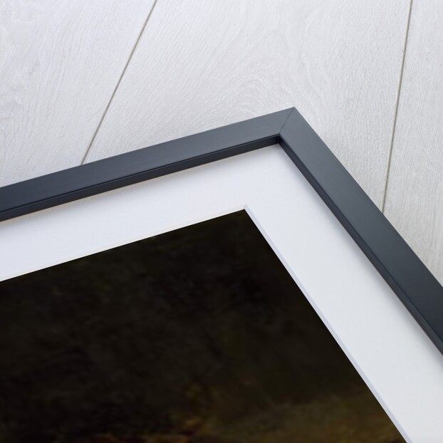 Still Life with Fish, 1897 by Emil Carlsen