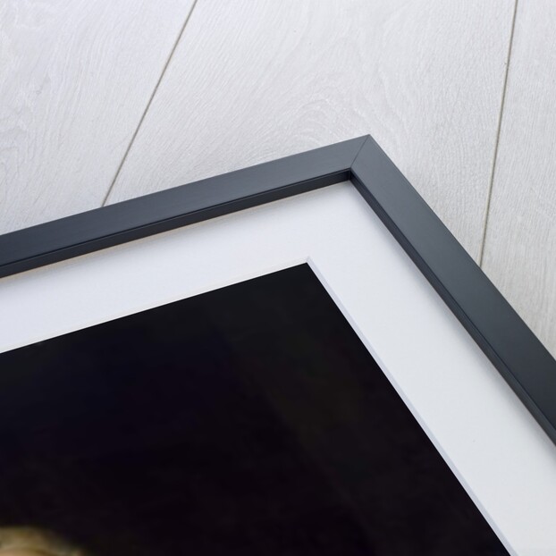 William Murray, 1st Earl of Mansfield by Jean-Baptiste van Loo