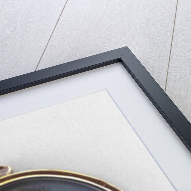 Portrait of a Man, c.1810 by Italian School