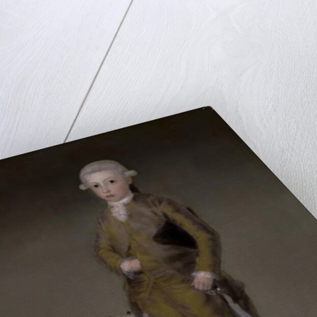 Don Vicente Isabel Osorio de Moscoso y Álvarez de Toledo, Conde de Trastámara, c.1787-88 by Francisco Jose de Goya y Lucientes