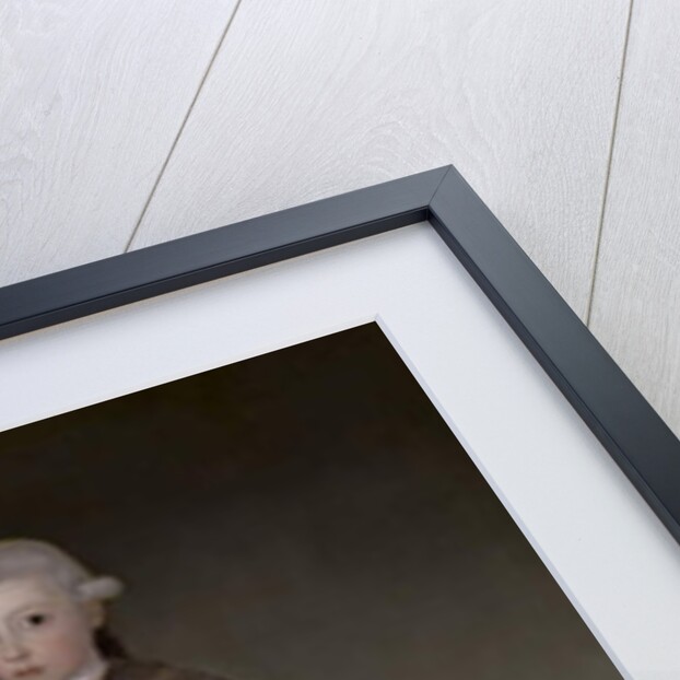 Don Vicente Isabel Osorio de Moscoso y Álvarez de Toledo, Conde de Trastámara, c.1787-88 by Francisco Jose de Goya y Lucientes