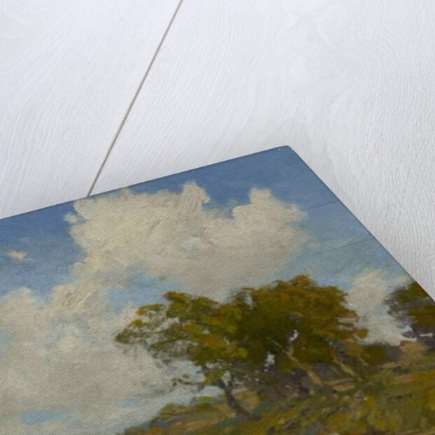 A Sunny Day, 1909 by Julian Onderdonk