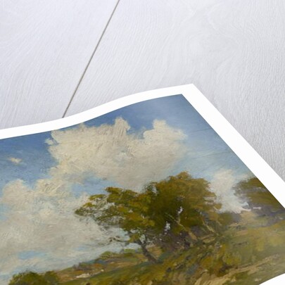 A Sunny Day, 1909 by Julian Onderdonk