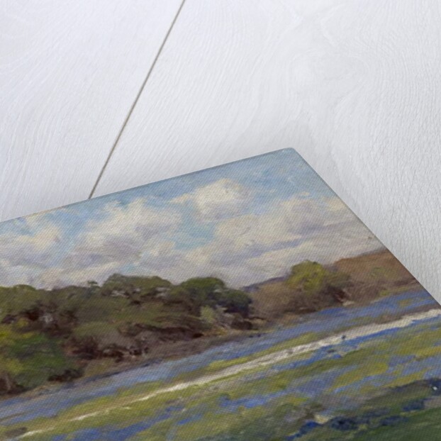 A Road through the Bluebonnets, c.1919 by Julian Onderdonk