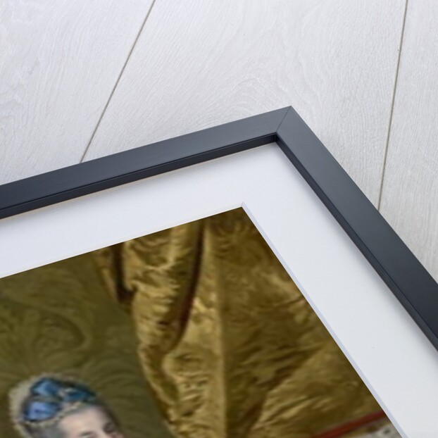 Portrait of the Archduchess Maria Amalia of Austria, Duchess of Parma, c.1778 by Johann Zoffany