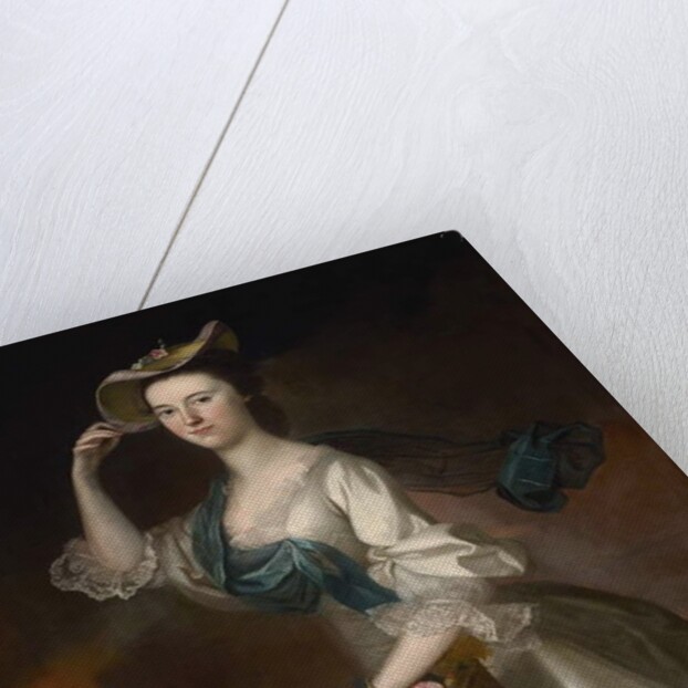 Portrait of Abigail Erving Scott, 1760 by Joseph Jonathan Blackburn