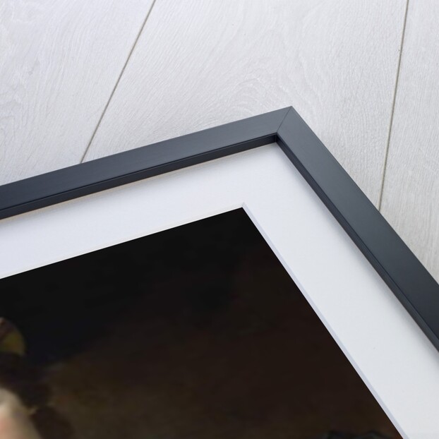 Portrait of Abigail Erving Scott, 1760 by Joseph Jonathan Blackburn