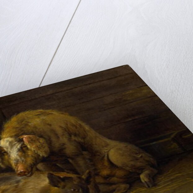 Two Pigs in a Sty, 1649 by Paulus Potter