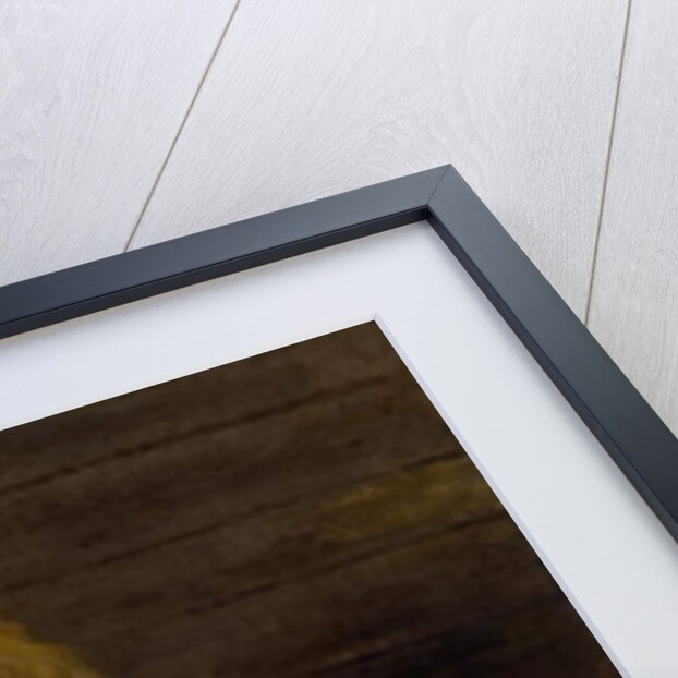 Two Pigs in a Sty, 1649 by Paulus Potter