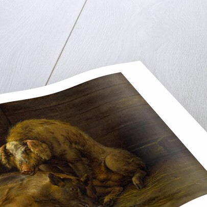 Two Pigs in a Sty, 1649 by Paulus Potter