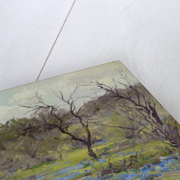 Early Spring Bluebonnets and Mesquite, 1919 by Julian Onderdonk