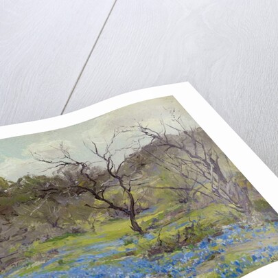 Early Spring Bluebonnets and Mesquite, 1919 by Julian Onderdonk