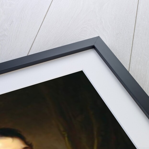 Portrait of James Cornell Biddle, 1841 by Thomas Sully