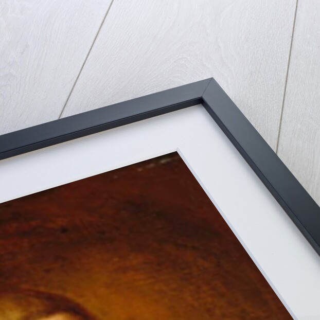 Portrait of a Boy, c.1711-1716 by Pierpont Limner