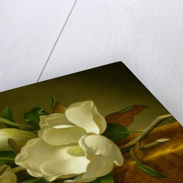 Magnolias on Gold Velvet Cloth, c.1888-90 by Martin Johnson Heade