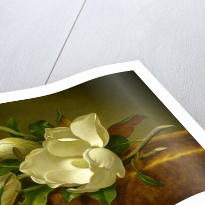 Magnolias on Gold Velvet Cloth, c.1888-90 by Martin Johnson Heade