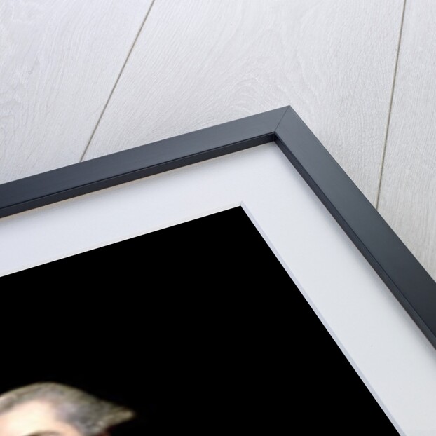 Anthony Chamier, 1767 by Joshua Reynolds