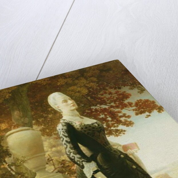 The Artists Wife by Robert Bateman