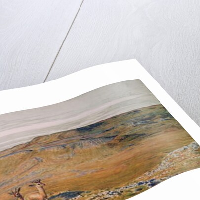 The Wilderness of Gizeh, 1854 by William Holman Hunt