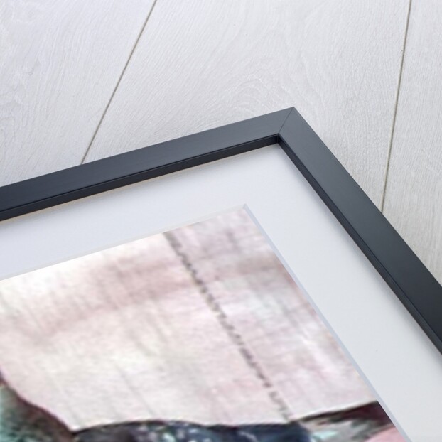 Pigeons by Carolyn Hubbard-Ford