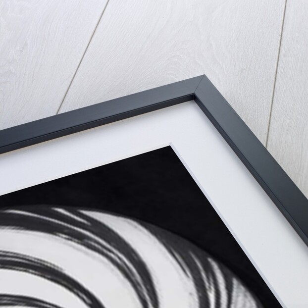 Lense Swirl with Palm Tree, 2005 by Carolyn Hubbard-Ford