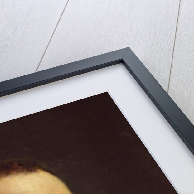 Portrait of Camillo Benso, count of Cavour. by Francesco Hayez