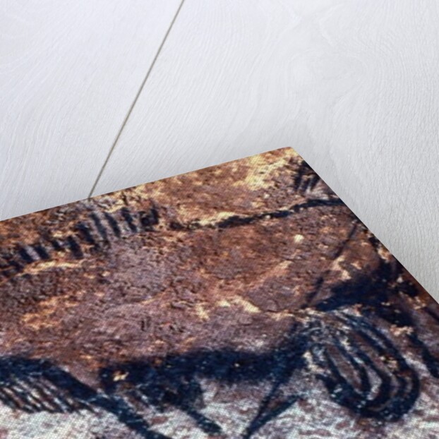 Prehistoric art: Scene of the Well: a man with a bird head and seems to fall or being pushed by a bison by Prehistoric Prehistoric