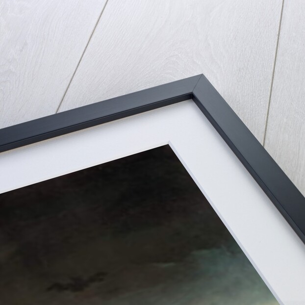 Le sabbat des sorcieres by Francisco Jose de Goya y Lucientes