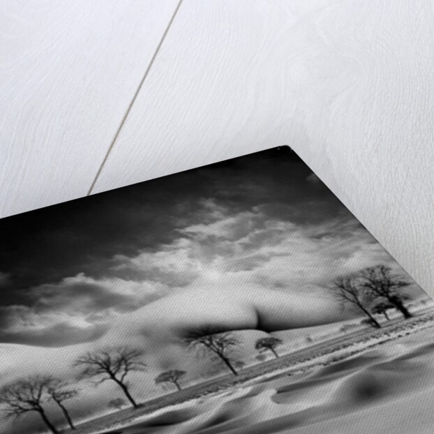 Mother, 1988 by Hag Hag