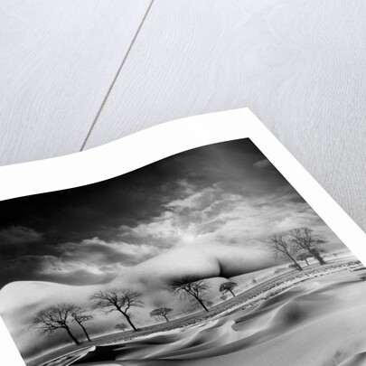 Mother, 1988 by Hag Hag