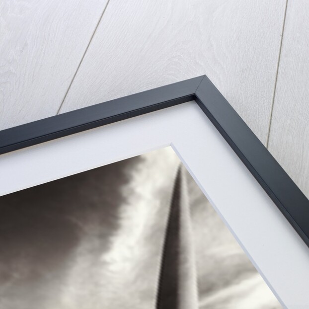 Fighting Spirit, 1990 by Hag Hag