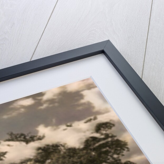 The Tree in Islington, 1978 by Hag Hag