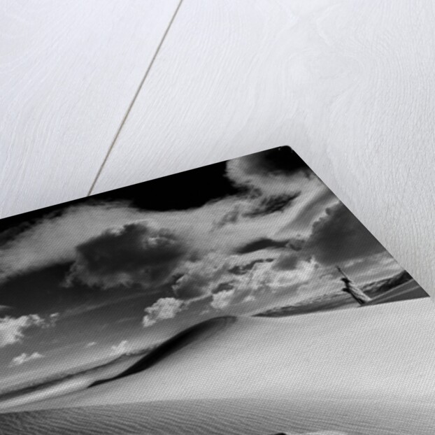 Liberty Lost, 1987 by Hag Hag