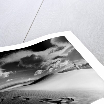 Liberty Lost, 1987 by Hag Hag