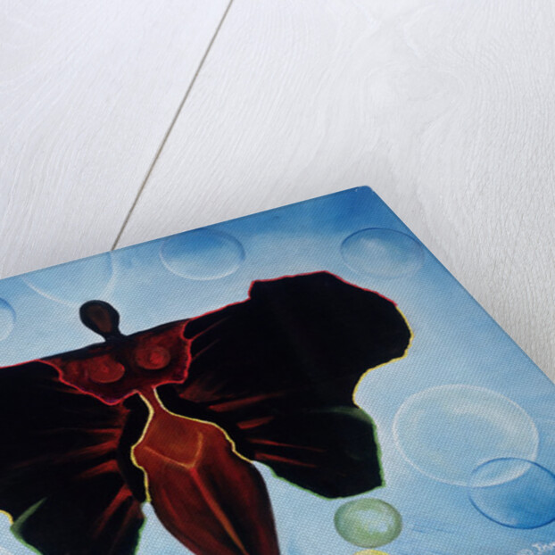 Black Butterfly, 2011 by Ikahl Beckford