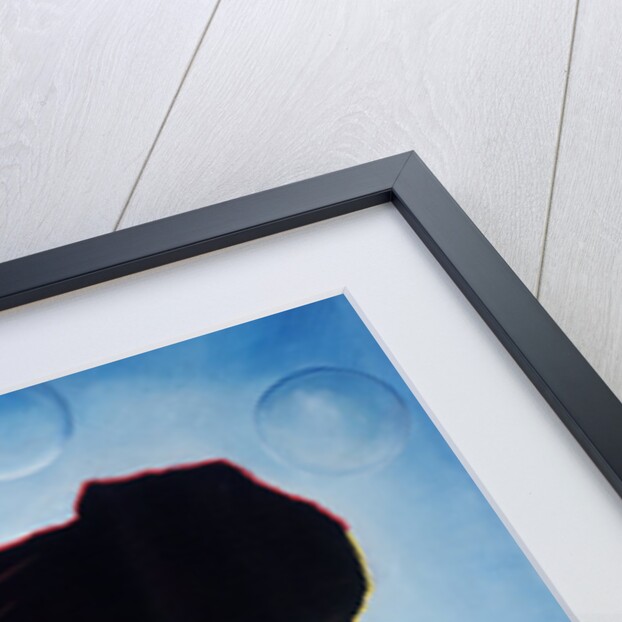 Black Butterfly, 2011 by Ikahl Beckford