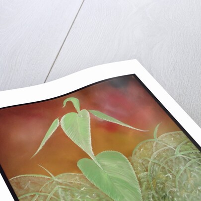 Hemped Out, 2008 by Ikahl Beckford