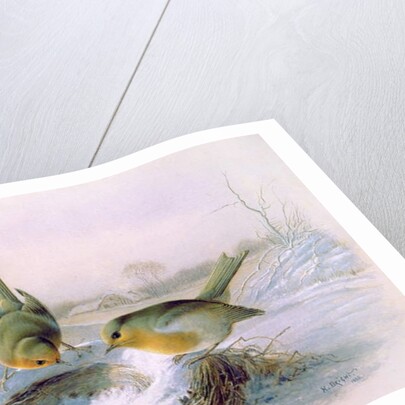 Last Year's Nest, 1886 by Harry Bright