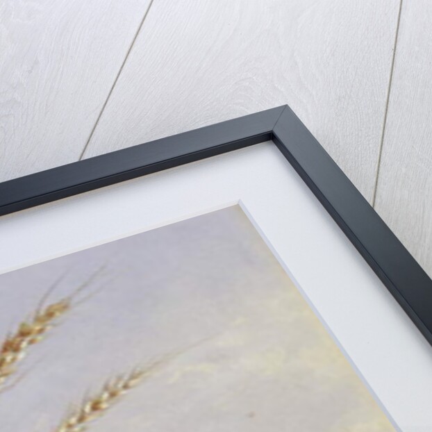 Bullfinches in a harvest field by Harry Bright