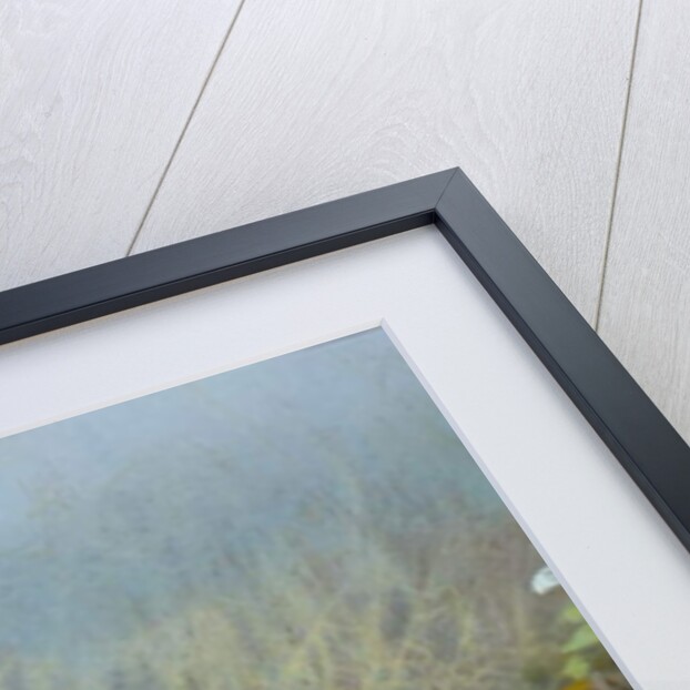 The Magpie by Johan Gerard Keulemans