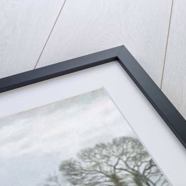 Fieldfare by Raymond Booth