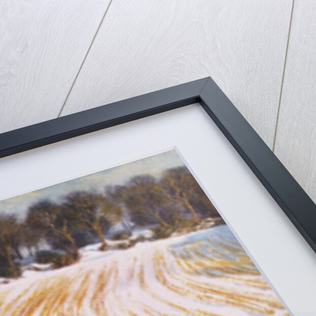 Goldfinch by Raymond Booth