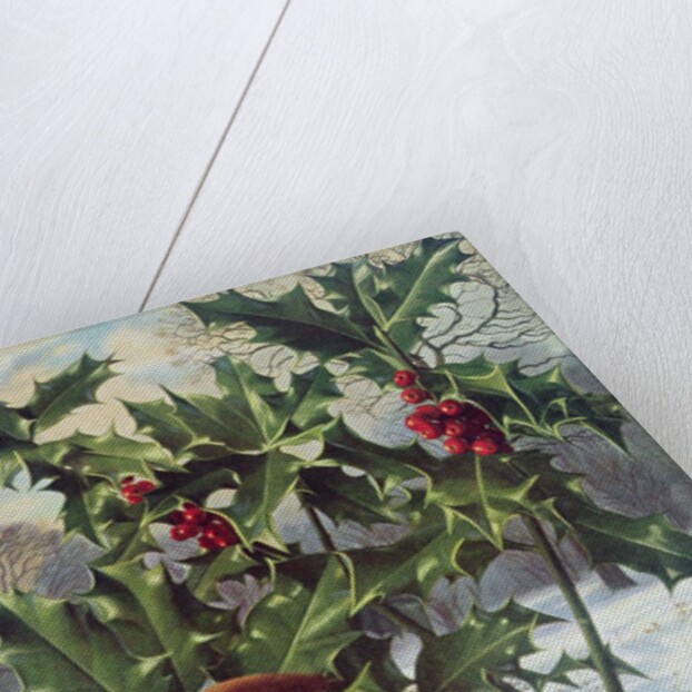 Waxwing by Raymond Booth