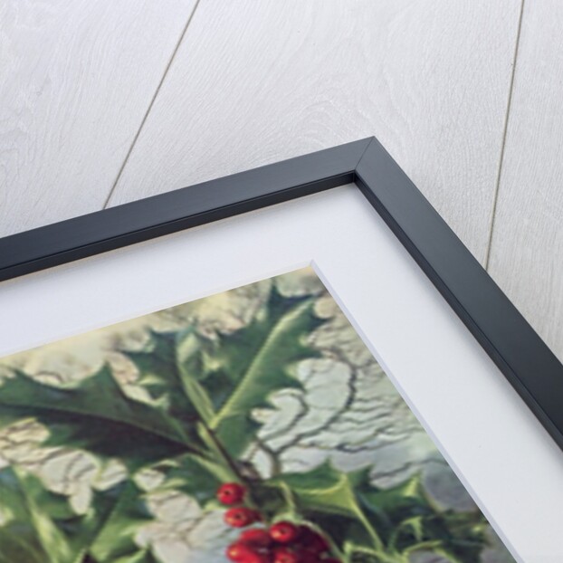 Waxwing by Raymond Booth