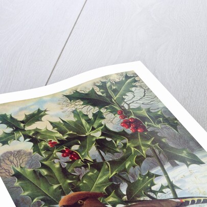 Waxwing by Raymond Booth