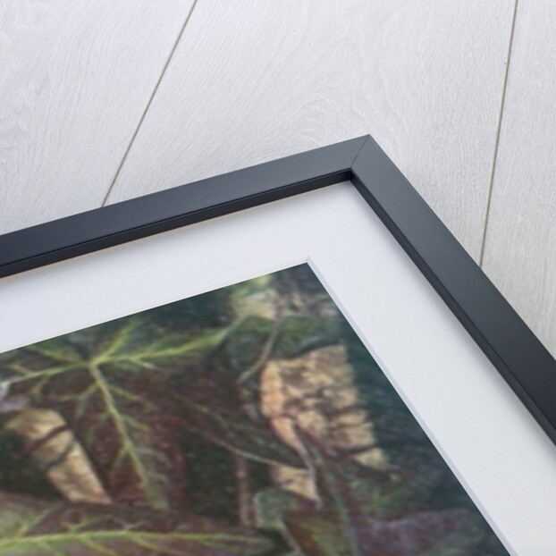 Wren in a setting of rosehip and ivy by Raymond Booth