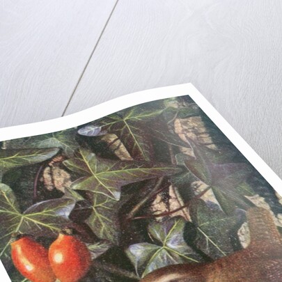 Wren in a setting of rosehip and ivy by Raymond Booth