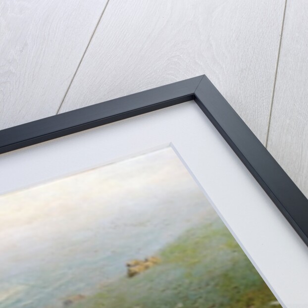 Puffins on Lundy Island by John George Naish