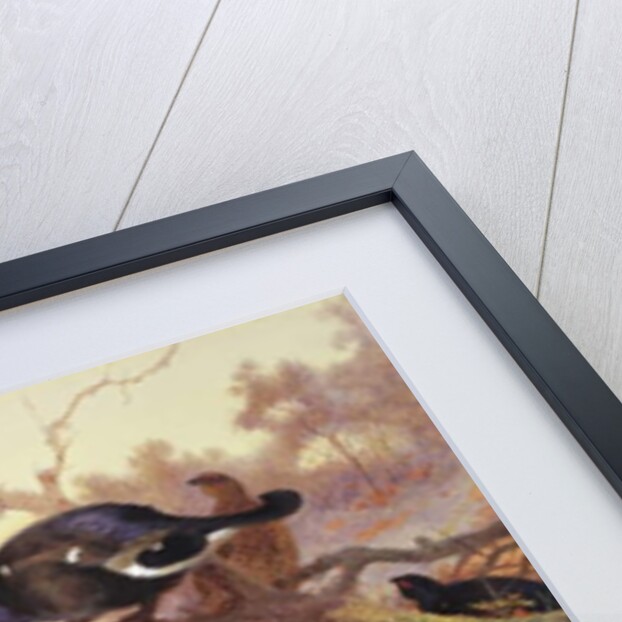 Blackgame in Winter by Archibald Thorburn