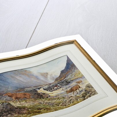 Deer Crossing the River Coe by Andrew Scott Rankin